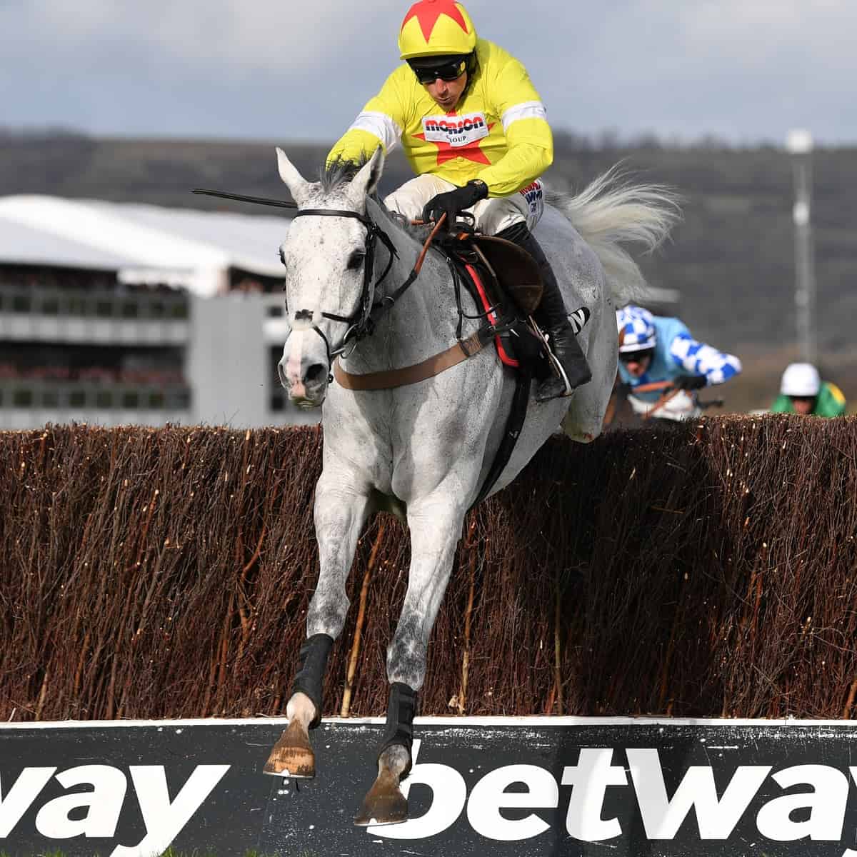 Betway Horse Racing Odds 