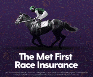 300x250 first race insurance (purple)