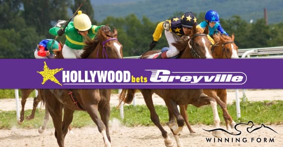 hollywoodbets durban july 2023 venue greyville racecourse south africa